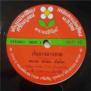 ศรเทพ ศรทอง - ฝนจางนางหาย / คนเหมือนกัน download free
