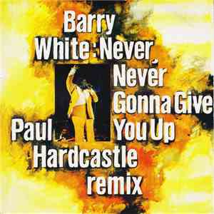 Barry White - Never, Never Gonna Give You Up (Paul Hardcastle Remix) download free