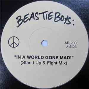 Beastie Boys - In A World Gone Mad! (Stand Up Mix) download free