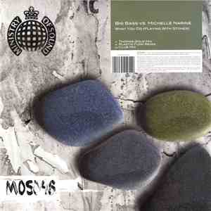 Big Bass vs. Michelle Narine - What You Do (Playing With Stones) download free