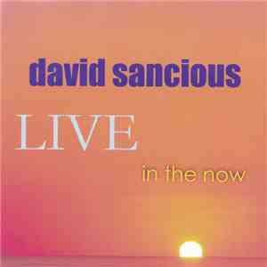 David Sancious - Live In The Now download free