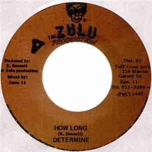 Determine - How Long download free