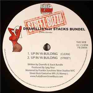 Dramillis Featuring Stack Bundles & Remy Ma - Up In Ya Building download free