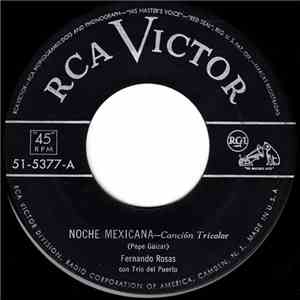 Fernando Rosas con Trio del Puerto - Noche Mexicana / La Chocosa download free
