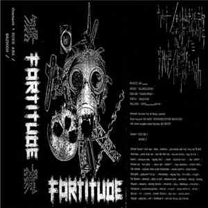 Fortitude  - Fortitude download free