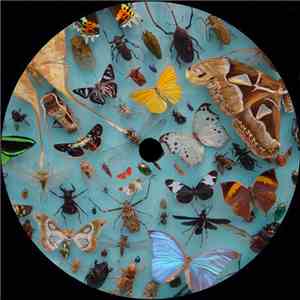 Hardy Küster - Morpho4Y download free