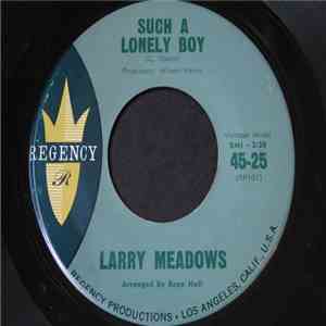 Larry Meadows - Such A Lonely Boy / Don't Hide Your Love download free