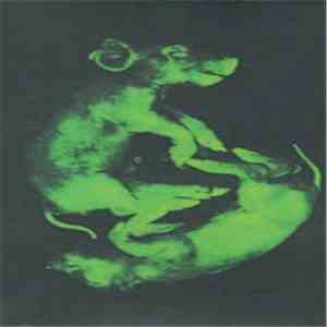 Leeches - Leeches download free
