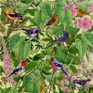 Mark Barrott - Sketches From An Island download free