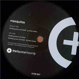 Mesquitas - Finding Peace Of Mind download free