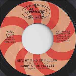 Sandy & The Pebbles - He's My Kind Of Fellow / My Foolish Little Heart download free