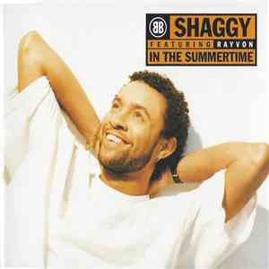 Shaggy - In The Summertime download free