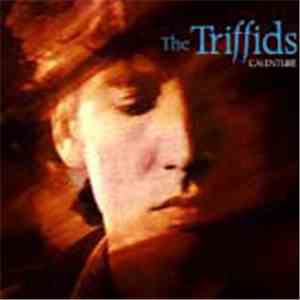 The Triffids - Calenture download free