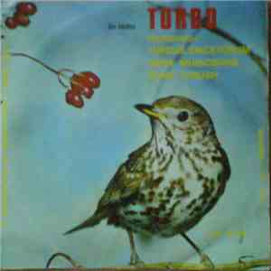 Tordo - Tordo (Bottaccio), Turdus Ericetorum, Grive Musicienne, Song Thrush, Dal Vivo Della Natura, Il Canto Degli Uccelli download free