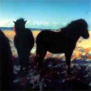 Various - Atrium A Sampler - Other Music From A Northern Place download free